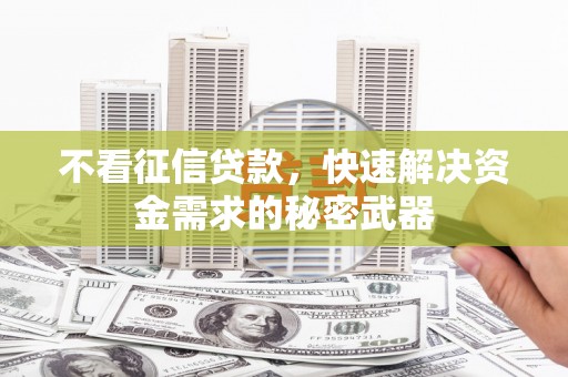 振安不看征信贷款，快速解决资金需求的秘密武器