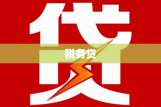 振安税务贷