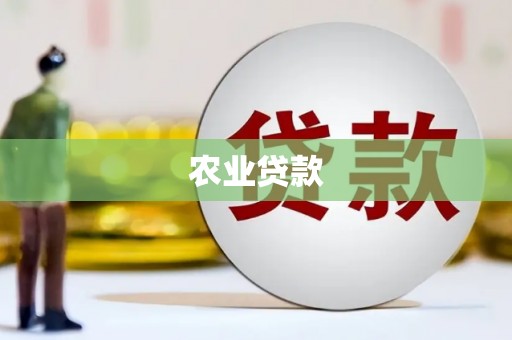 振安农业贷款