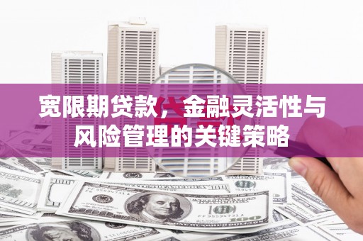 振安宽限期贷款，金融灵活性与风险管理的关键策略