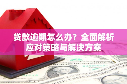 振安贷款逾期怎么办？全面解析应对策略与解决方案