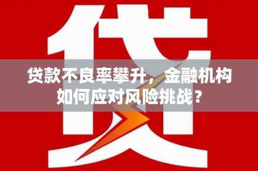 振安贷款不良率攀升，金融机构如何应对风险挑战？