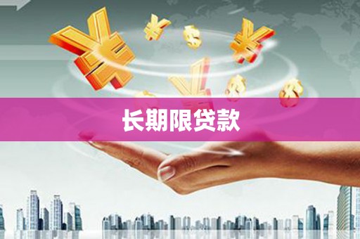 振安长期限贷款
