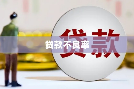振安贷款不良率