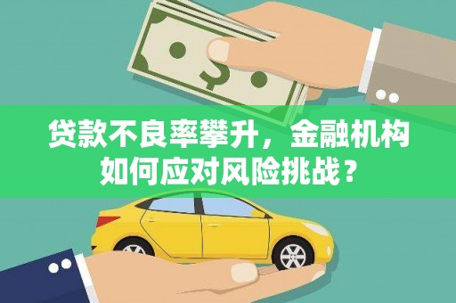 振安贷款不良率攀升，金融机构如何应对风险挑战？