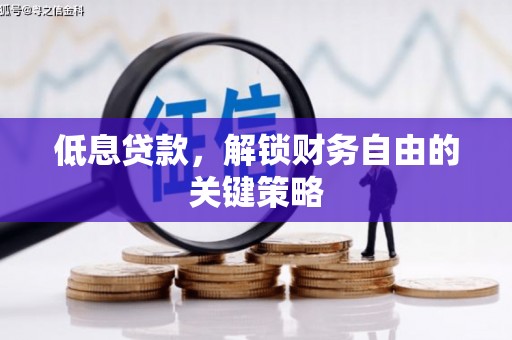 振安低息贷款，解锁财务自由的关键策略