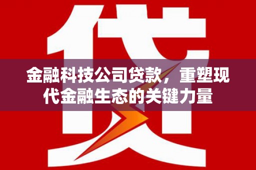 振安金融科技公司贷款，重塑现代金融生态的关键力量