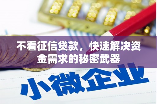 振安不看征信贷款，快速解决资金需求的秘密武器