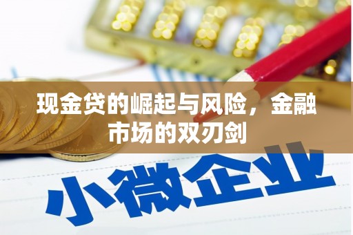 振安现金贷的崛起与风险，金融市场的双刃剑