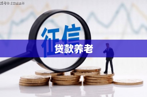 振安贷款养老