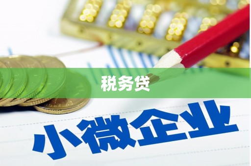 振安税务贷