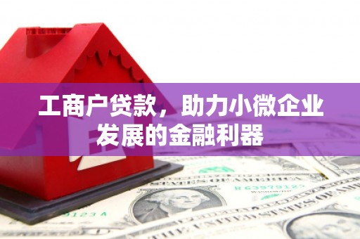 振安工商户贷款，助力小微企业发展的金融利器