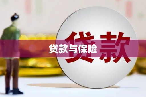 振安贷款与保险