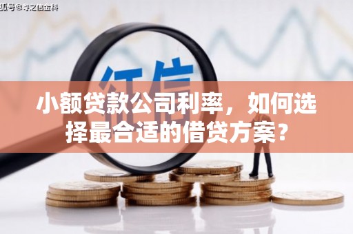 振安小额贷款公司利率，如何选择最合适的借贷方案？