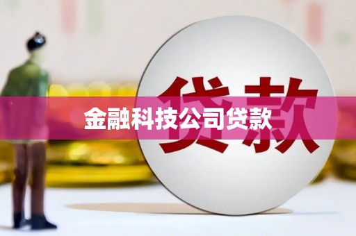 振安金融科技公司贷款