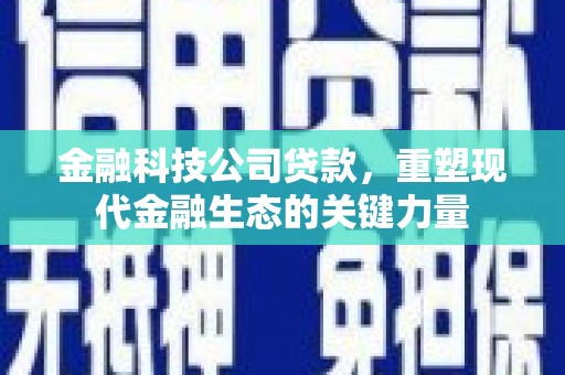 振安金融科技公司贷款，重塑现代金融生态的关键力量