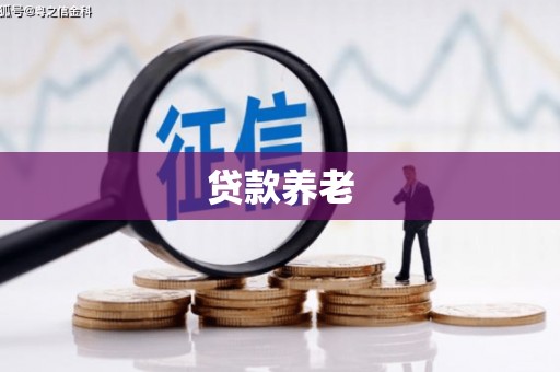 振安贷款养老