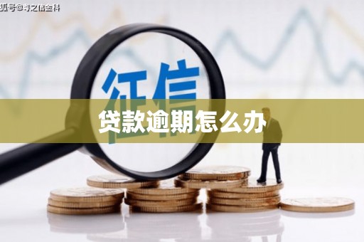 振安贷款逾期怎么办