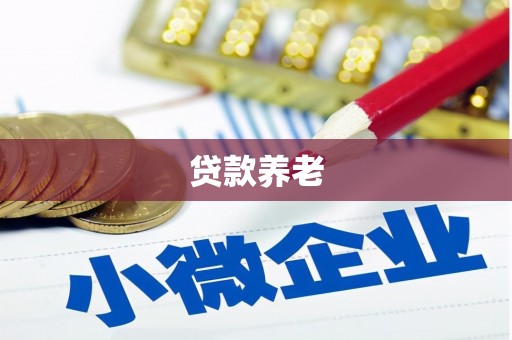 振安贷款养老