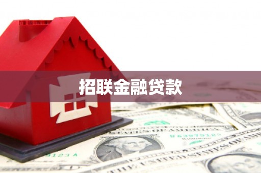 振安招联金融贷款