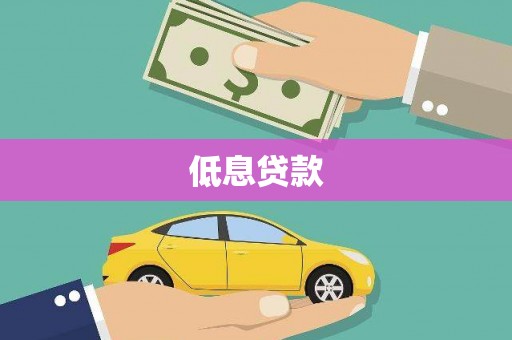 振安低息贷款