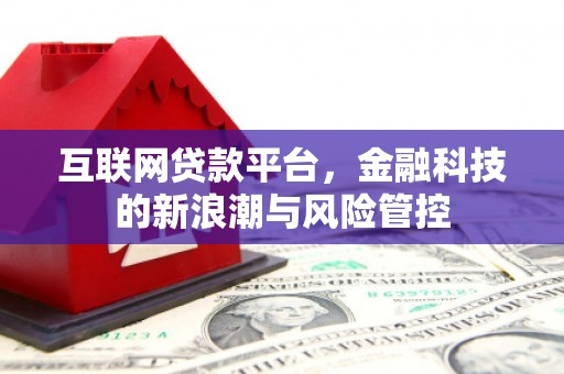 振安互联网贷款平台，金融科技的新浪潮与风险管控