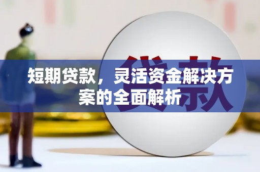振安短期贷款，灵活资金解决方案的全面解析