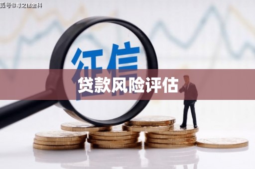 振安贷款风险评估