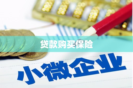 振安贷款购买保险