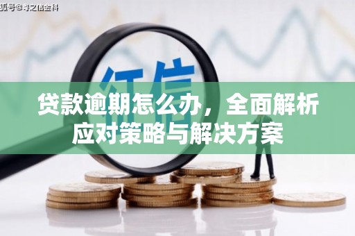振安贷款逾期怎么办，全面解析应对策略与解决方案